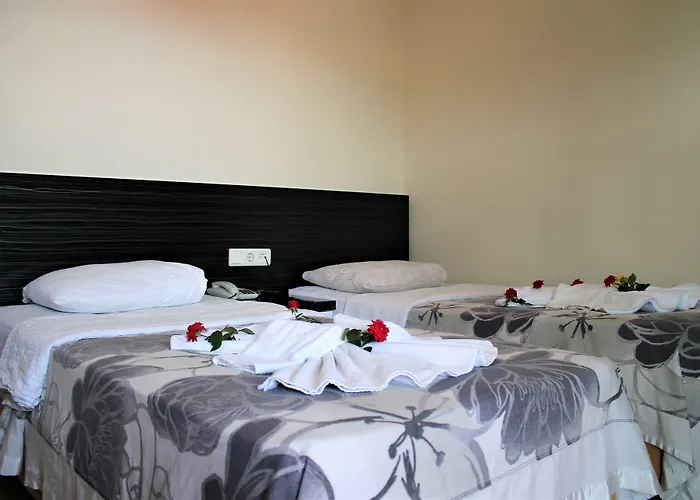 Le Moral מלון 3*